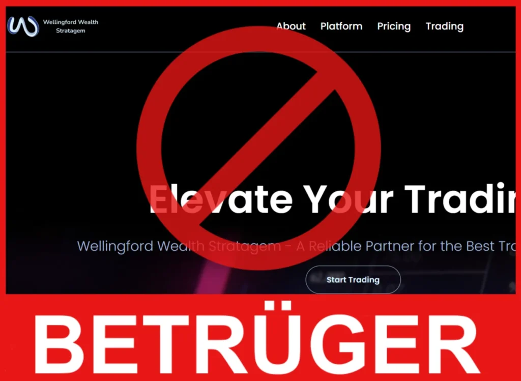 Wellingford Wealth Stratagem Gesicht