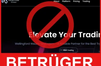 Wellingford Wealth Stratagem Gesicht